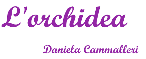 L'orchidea di Daniela Cammalleri & C. s.a.s.