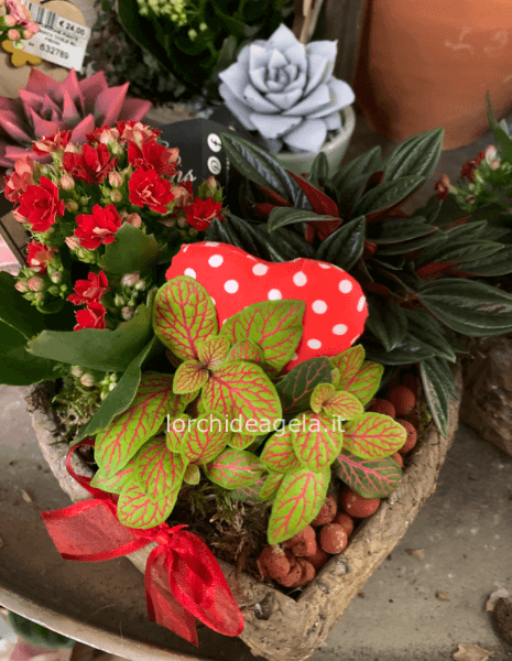 COMPOSIZIONE MIX FORMA DI CUORE