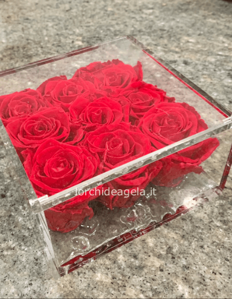SCATOLA  9 ROSE ROSSE STABILIZZATE